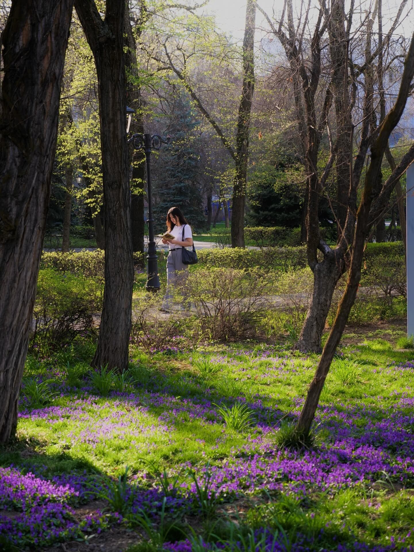 KIMEP University photo 6